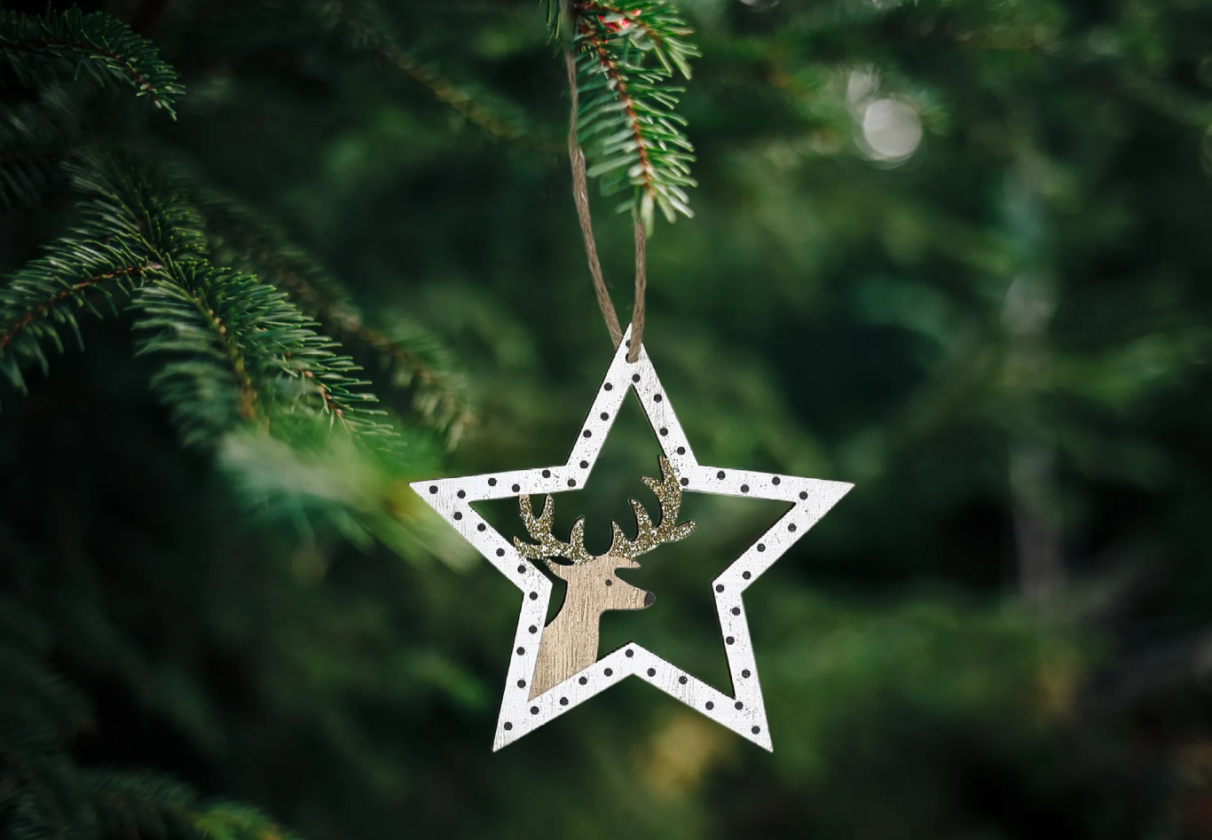 Vianočná dekorácia KL-21X12 biela (2 ks)