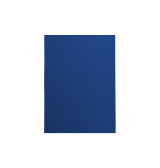 Koberec protišmykový RUMBA 1349 kobalt