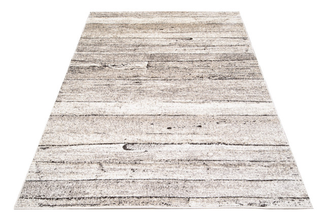 Koberec PETRA 3041 1 244