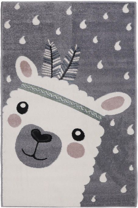 Koberec DREAM 18219/190