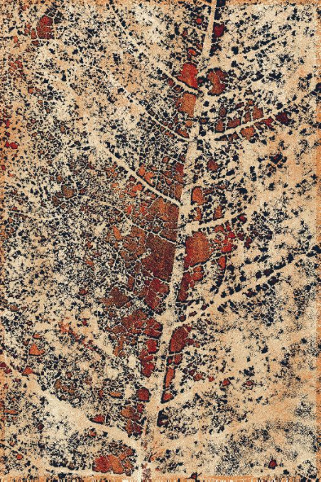 Koberec Agnella Isfahan Alnus medený