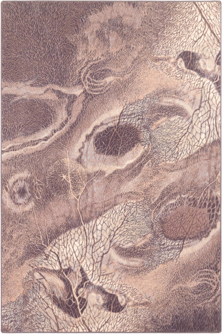 Koberec Agnella Isfahan Bellona vresový