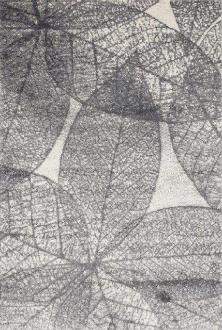 Koberec Agnella Lush Haust Popiel