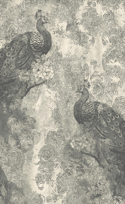 Koberec Agnella Regius Pavio popol