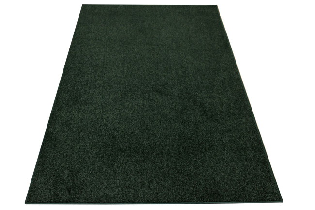 Koberec DESTINY 650 zelený