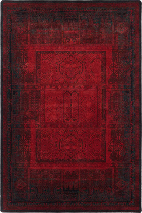 Koberec Dywilan Omega Nakbar Rubin