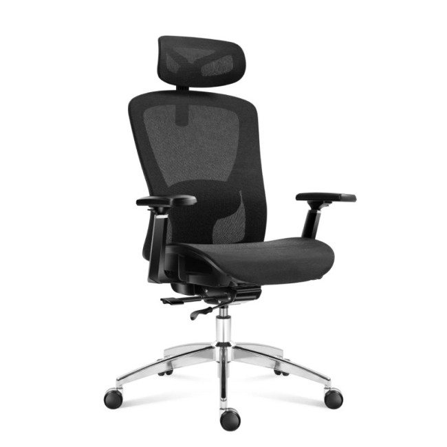 Levně Kancelářská židle Expert 5.3 Black Mesh