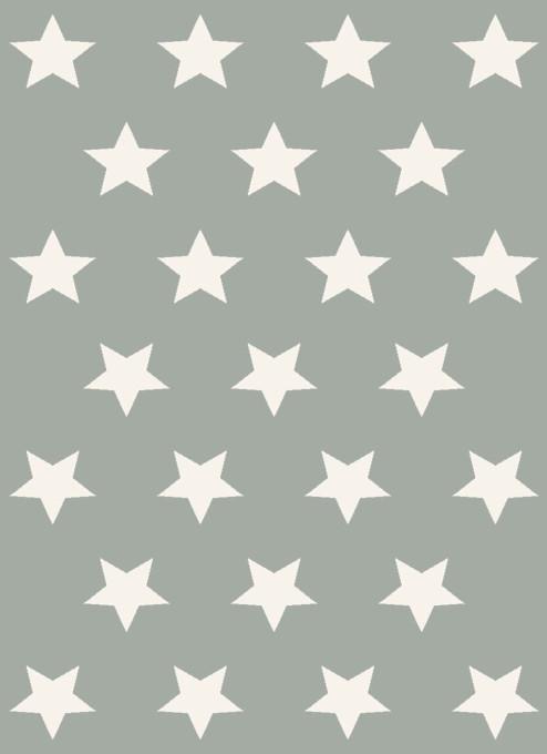 Koberec HVIEZDIČKY sivý