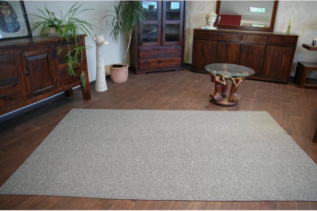 Koberec Prius 49 sivý / popol