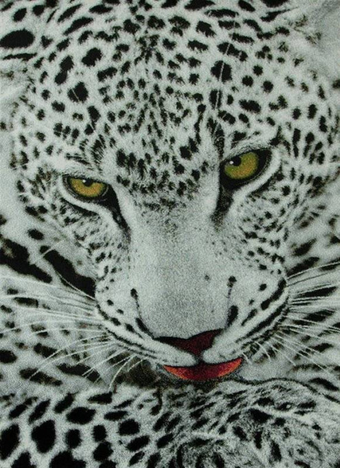 Koberec Rainbow 11122/190 leopard sivý / čierny