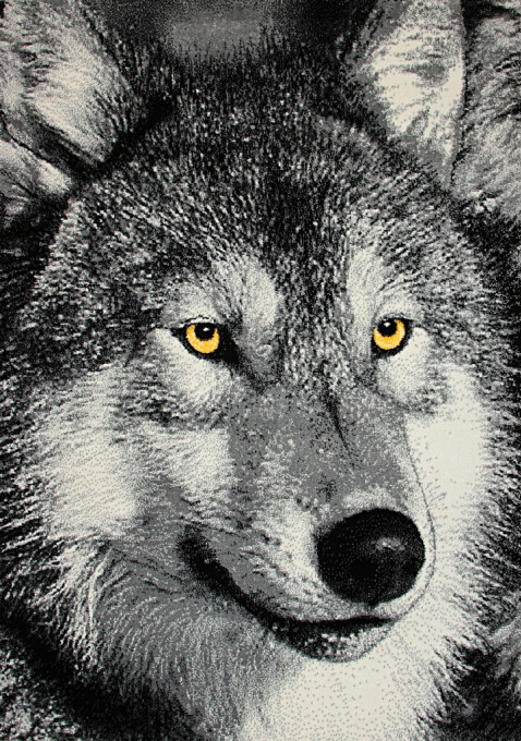 Koberec KOLIBRI 11395/190