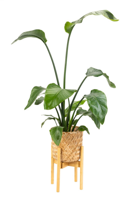 Stojan na kvety NEST