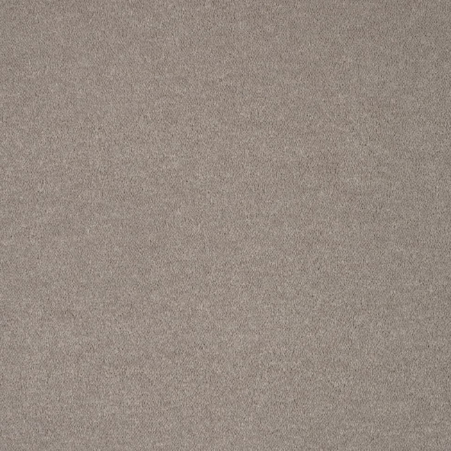 Metrážny koberec PLEASURE sivý