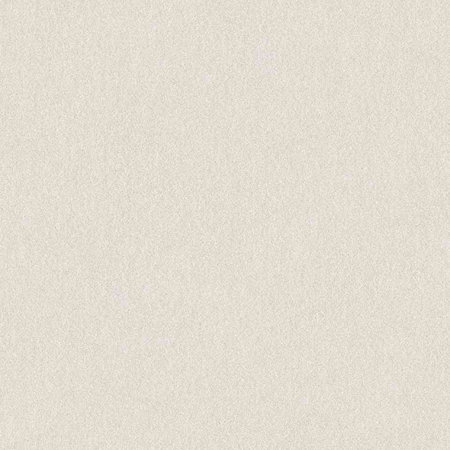 Metrážny koberec SPINTA biely