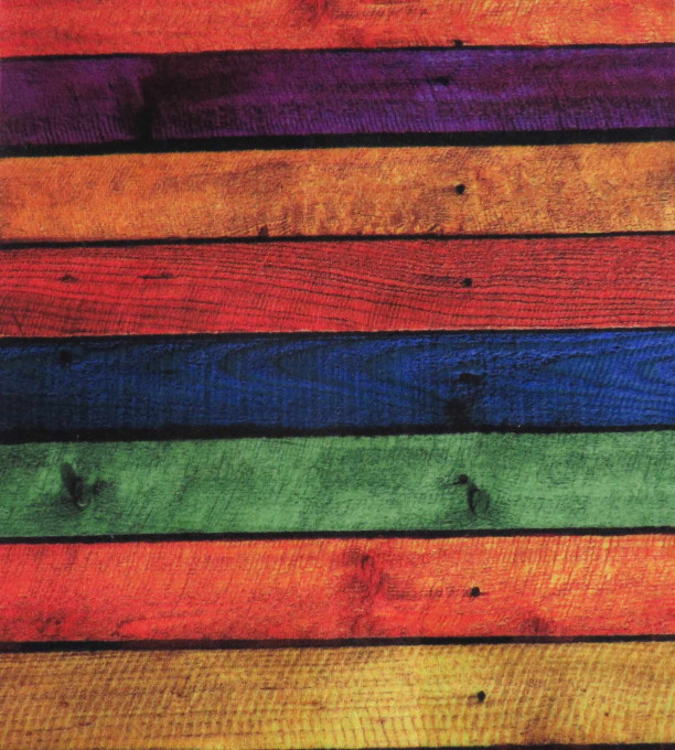 Protišmykový behúň Dosky farebné HD