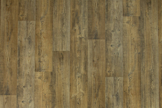 PVC podlaha Bingo Argentina 593