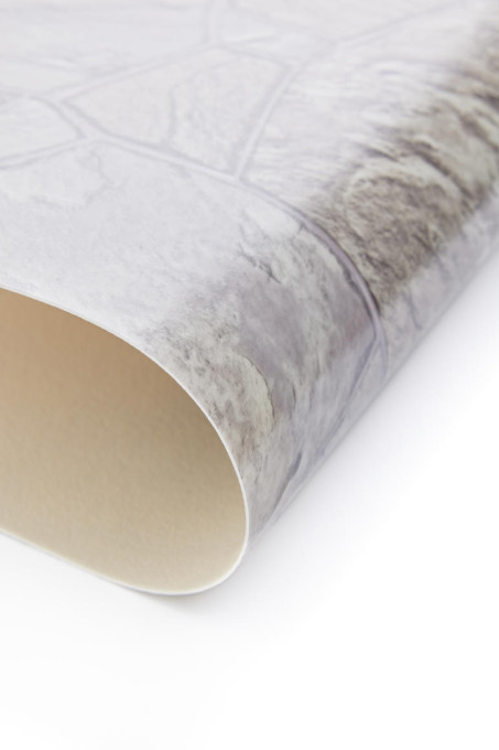 PVC podlaha Lentex Bonus 40906